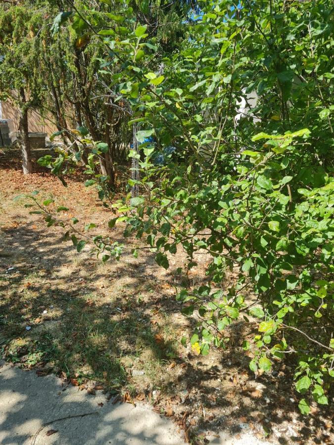 Residence Miranda 디종 외부 사진
